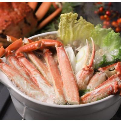 ふるさと納税 美浜町 【2025年11月より順次発送】“訳あり”《越前がに》【小サイズ2杯】カニスプーン付き |  | 01