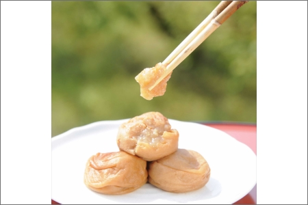 やまだ　南高梅はちみつ梅（250ｇ×3個）