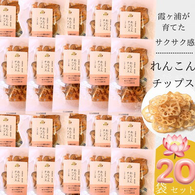 【ふるさと納税】れんこんチップス 30g×20袋セット【1735731】