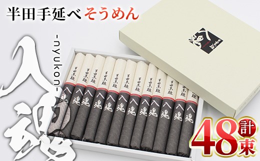 ＜選べる内容量＞半田そうめん『入魂』(100g×48束／計4.8kg)【tr01-01-C】【半田手延べそうめん協同組合】