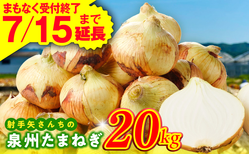 【7月15日受付終了】泉州たまねぎ 20kg 玉ねぎ 射手矢農園【タマネギ 玉葱 甘い 野菜 国産 期間限定 オニオン スライス サラダ カレー シチュー バーベキュー BBQ 肉じゃが 大阪 泉佐野 大阪府 泉佐野市】