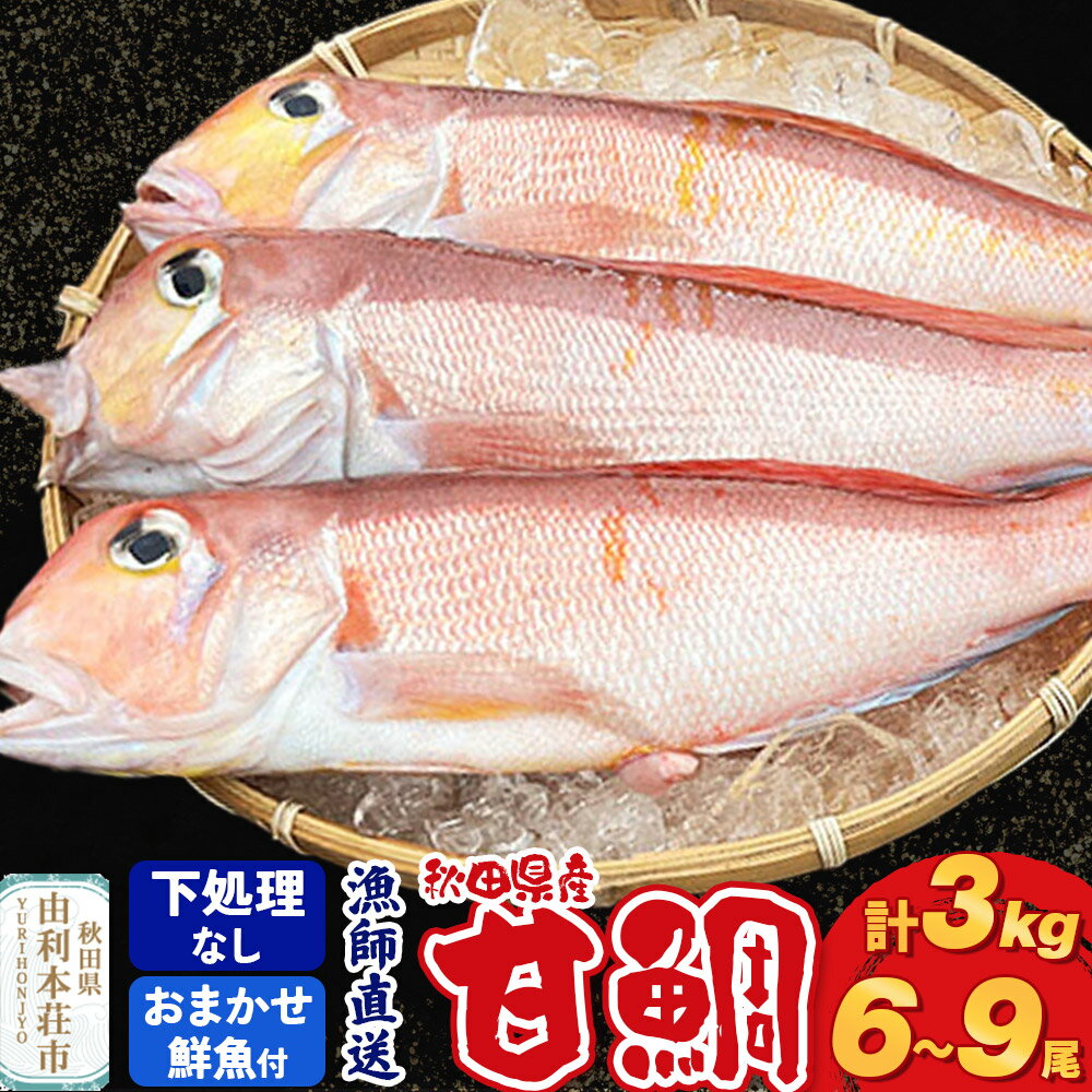 【ふるさと納税】《予約受付》漁師直送 甘鯛（あまだい）3kg＋おまかせ鮮魚 秋田県産【下処理なし】