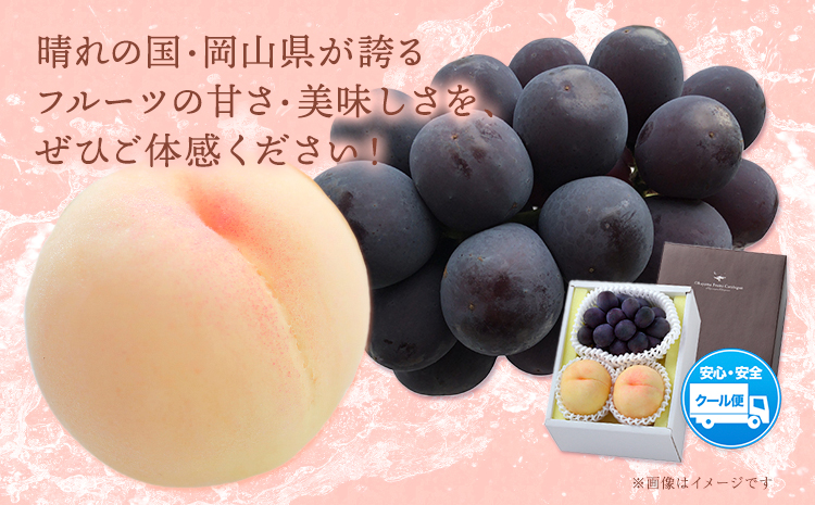 桃・ピオーネ詰め合わせ 約1kg クール便 冷蔵便 桃 もも 葡萄 ブドウ ぶどう ピオーネ フルーツ セット 先行予約 晴れの国おかやま館 《2024年8月下旬~9月中旬頃に発送予定(土日祝除く)》