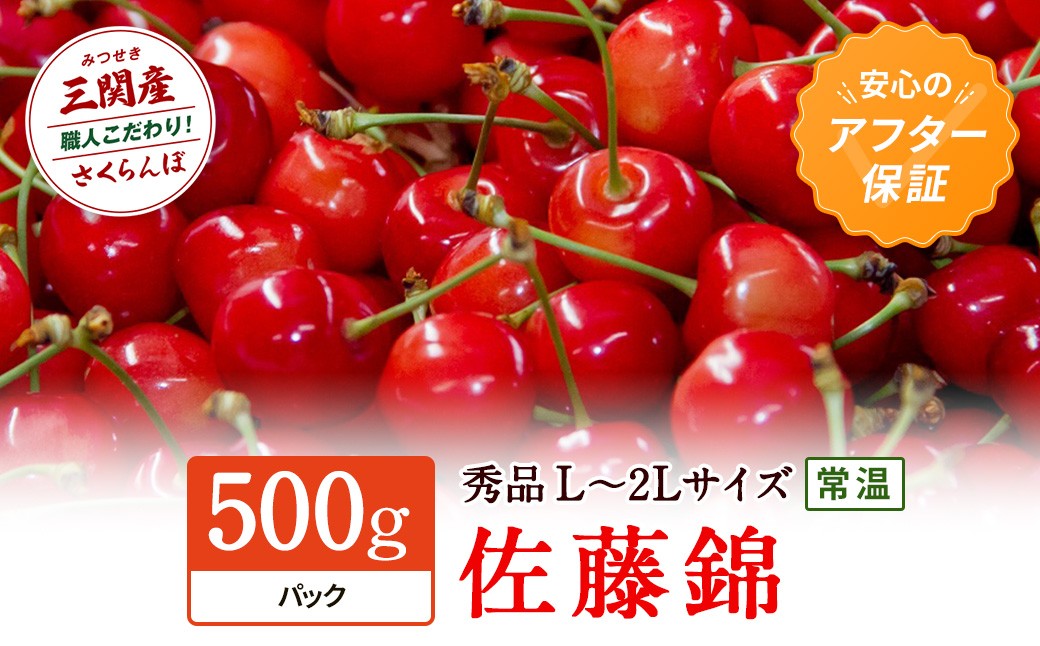 
                  令和9年産 先行予約 数量限定！「常温」佐藤錦 500g 秀L～2Lサイズ さくらんぼ 果物 フルーツ 秋田県  湯沢市 三関【田村果樹園】[H10801]
                