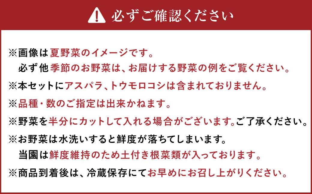 【12ヶ月定期便】有機JAS認定 季節の野菜詰め合わせ ～有機野菜セットC～ 