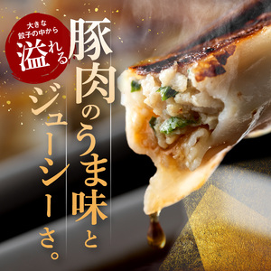 【定期便3回】たじまやオリジナルビッグ餃子 100個