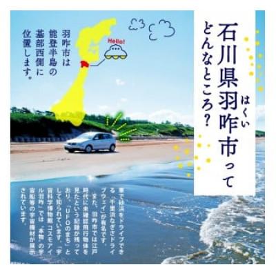 ふるさと納税 羽咋市 【毎月定期便】《数量限定》のと米 精米 10kg ( 5kg × 2袋 )全3回 |  | 02