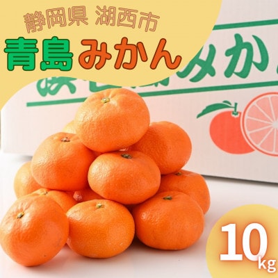 【2025年1月発送】浜名湖の「青島みかん」10kg【1537446】