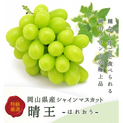 岡山県産 シャインマスカット『晴王』1房(800g以上) 化粧箱入り【配送不可地域：離島・北海道・沖縄県】【1514904】