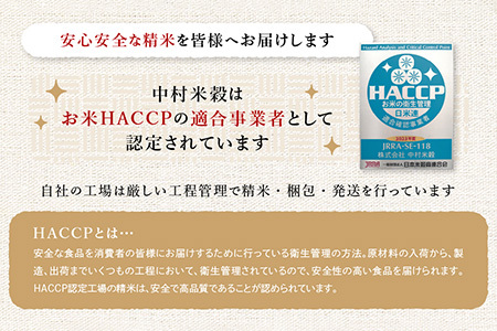 夢しずく 新米 令和7年産 佐賀県産 10kg 白米 【 特A評価 獲得品種】 B-45