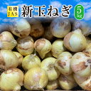 【ふるさと納税】【先行受付】有機JAS 新玉ねぎ 5kg 野菜 やさい たまねぎ 玉ねぎ 玉葱 熊本県 上天草市 送料無料 【2025年3月上旬から4月上旬発送予定】