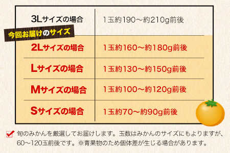 みかん 温州みかん 約 5kg 柑橘 フルーツ ミカン 蜜柑 《11月上旬-12月上旬頃出荷》熊本県 荒尾市産含む 熊本県 荒尾市 フレッシュフーズ