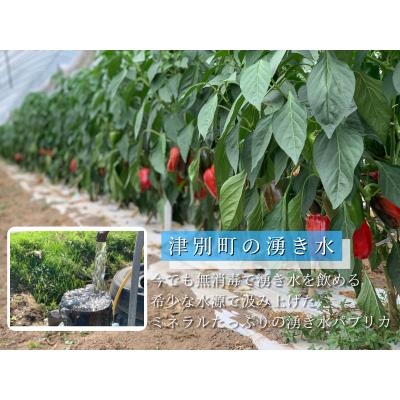 ふるさと納税 津別町 【R7年早期受付】湧水栽培 ナツやさいのパプリカ 12玉〜15玉セット ピンクの八百屋〜ナツやさい |  | 02