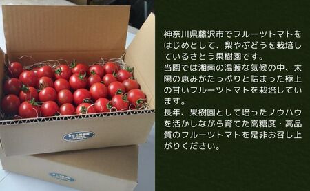 トマト フルーツトマト  3.6kg～5.4kg 3箱 フルティカ 藤沢市 野菜 とまと ミニトマト ハウス栽培