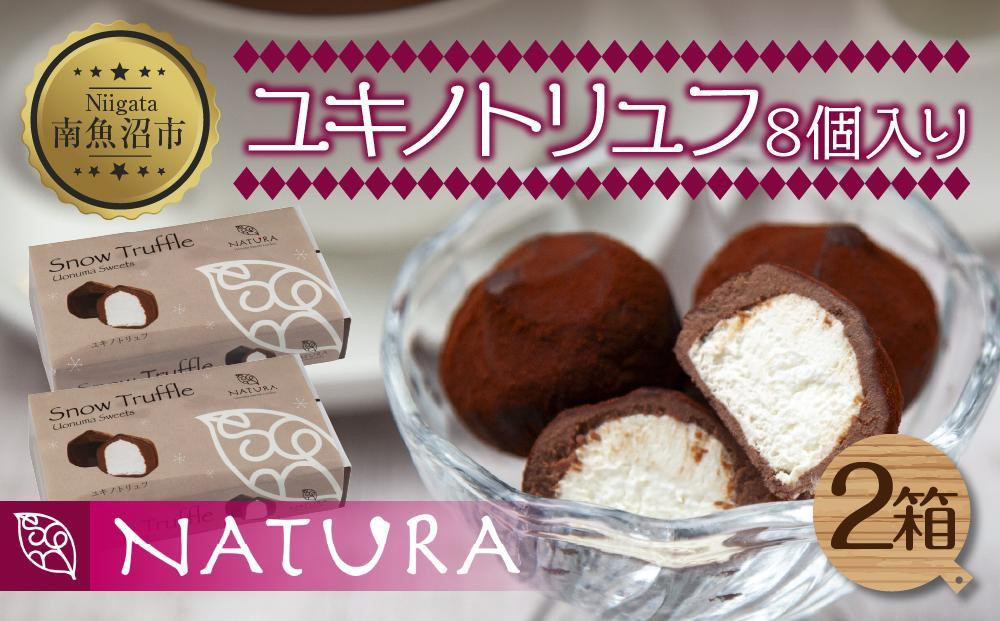 
ユキノトリュフ 8個 2箱 チョコレート ココア おやつ スイーツ 洋菓子 バレンタイン 誕生日 お祝い 贈り物 ギフト お取り寄せ 冷凍 グルメ パーティー 魚野の里 ナトゥーラ 新潟県 南魚沼市
