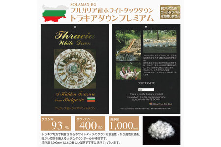 訳あり 羽毛布団 シングル 冬用 色柄おまかせ 本掛け 80番手 サテン 数量限定｜