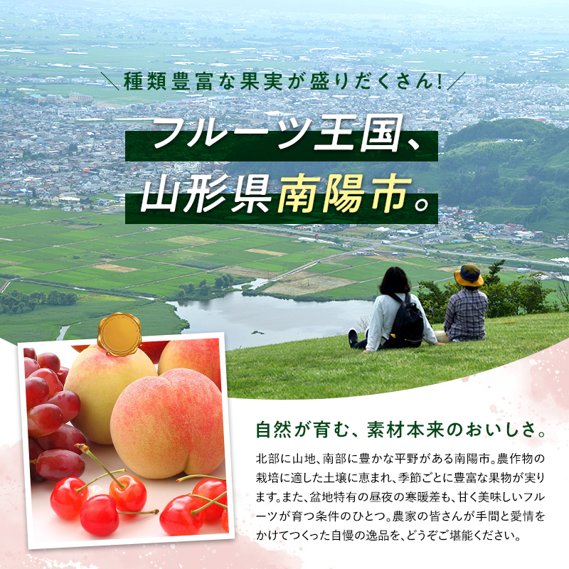 【令和6年産先行予約】 さくらんぼ 「やまがた紅王」 約300g