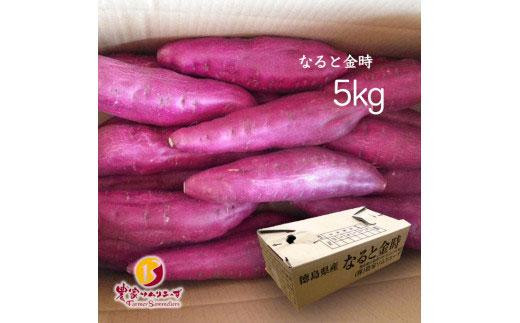 
            【ほくほく系のトップブランド】農家ソムリエーずなると金時5kg
          