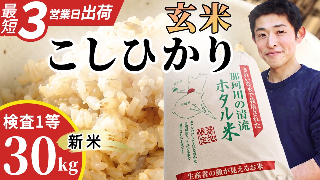 
                   ≪新米≫ 那珂川の清流 コシヒカリ ホタル米 【玄米】30kg 検査1等 令和8年産 産地直送 (AX007)
                