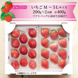 いちご 2種 400g (200g×2) 6～12月お届け 苺 果物 くだもの フルーツ おやつ ストロベリー strawberry 岩手県 大船渡市