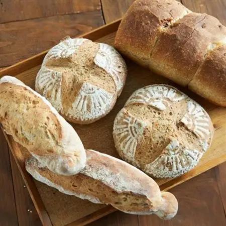 【ときはや石窯薪火パン】無糖、無塩パンセット【配送不可地域：離島】【1480682】