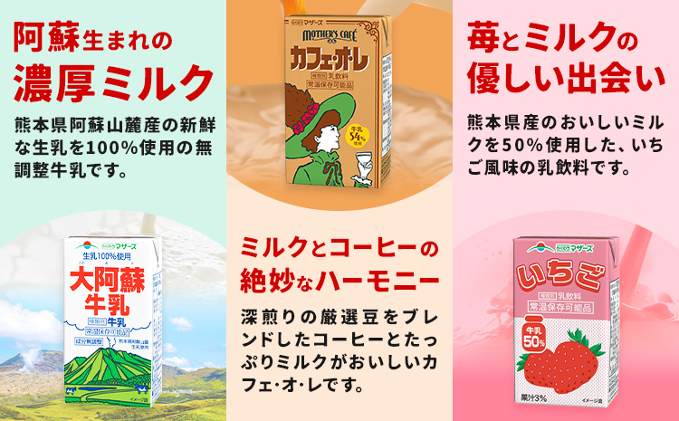常温保存可能 らくのうマザーズ 詰め合わせ セット 大阿蘇牛乳＆ミルクバニラ 200ml×12本ずつ 計24本 合同会社たべたせいか《30日以内に出荷予定(土日祝除く)》熊本県 菊池市 大阿蘇牛乳 お