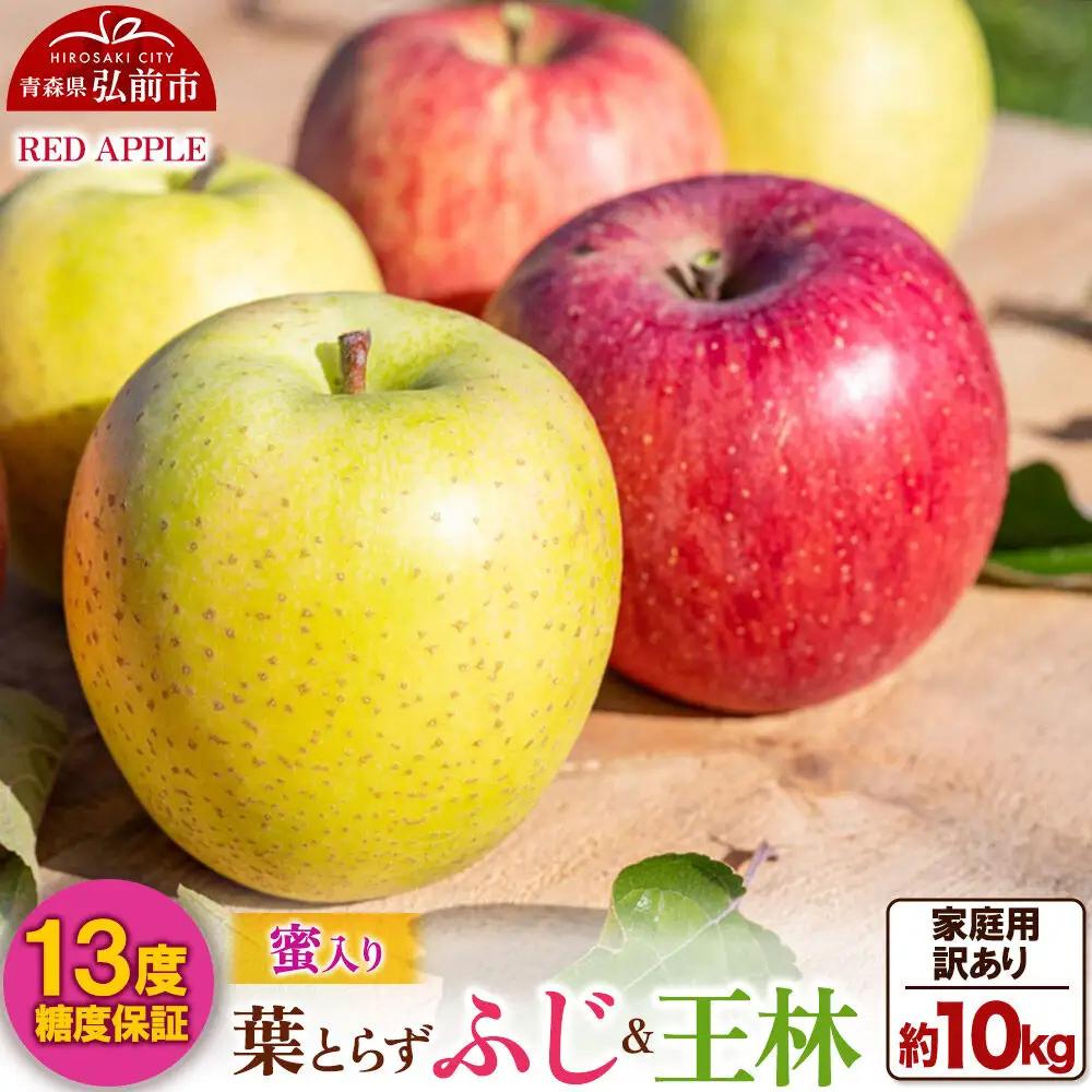 【26年12月上旬～発送】りんご 13度糖度保証【訳あり】家庭用 蜜入り 葉とらずふじ＆王林 約10kg 先行受付