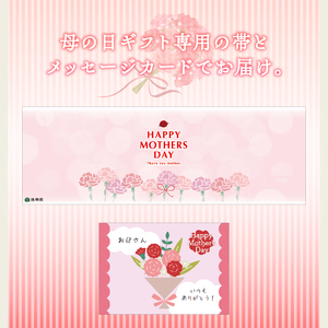 【母の日ギフト】あんとバターのベイクドスティック トンカラリン8個入り 和菓子 贈り物 057-006-H