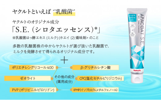 定期便 隔月 4回 薬用 歯磨き粉 ヤクルト アパコートS.E. 4個 医薬部外品 湘南ヤクルト 神奈川 湘南 藤沢