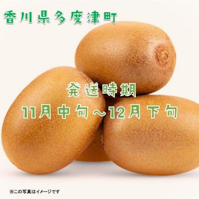 ふるさと納税 多度津町 香川県オリジナルキウイフルーツ「さぬきキウイっこ(R)」1.3kg【A-46】 |  | 01