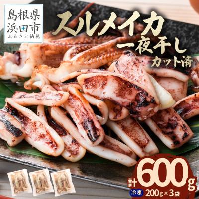 ふるさと納税 浜田市 島根県産浜田市加工　食べ応え大満足のスルメイカ一夜干し(600g)【小分け個包装】