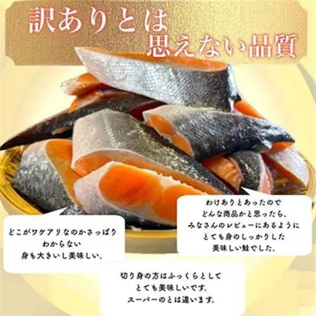 【訳あり】人気の海鮮お礼品 チリ産 定塩 塩銀鮭切り落とし(端材)約3kg_鮭 サケ さけ 訳あり おすすめ_【配送不可地域：離島】【1389616】