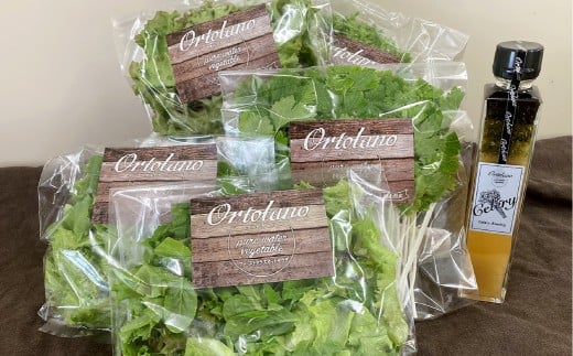 【Ortolano】ファーストクラスのサラダ＆セロリドレッシングセット S-1 サラダ ドレッシング 詰め合わせ セット 野菜 岡山県 倉敷市