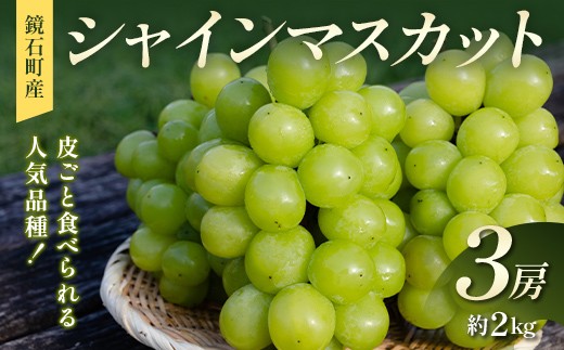 
                  皮ごと食べられる人気品種！鏡石町産 シャインマスカット 3房（約2kg）マスカット ぶどう ブドウ 葡萄 デザート フルーツ 果物 くだもの 果実 食品 F6Q-485
                