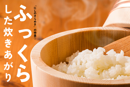 米 令和7年産 新米 無洗米 10kg かいつか農園のお米 にじのきらめき 虹の煌めき お米 白米 国産 おにぎり 弁当 R7年産 ごはん おいしい 旨い ふっくら お米 茨城県 笠間市 いばらき