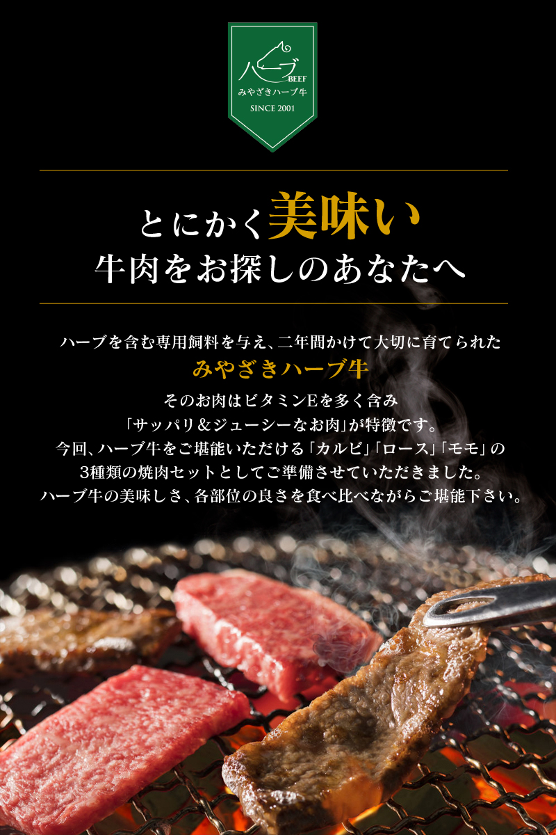 ＜宮崎ハーブ牛＞3種類の焼肉セット 合計600g【B364】_イメージ3