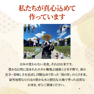 【訳あり】にじのきらめき 5kg 2か月定期便 上越市 精米 米 新潟県 おすすめ 限定 虹のきらめき