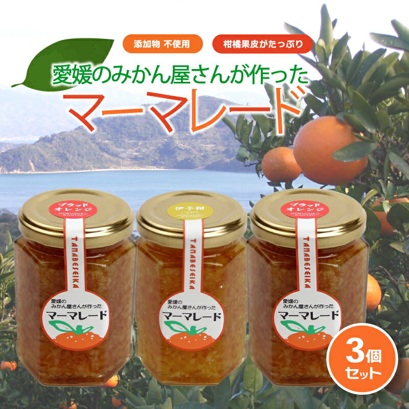 【ふるさと納税】 みかん マーマレード 150g×3 ｜ 柑橘 みかん加工品 ギフト 無添加 マーマレード ジャム フルーツ 伊予柑 ブラッドオレンジ 夏みかん レモン 果物 くだもの 愛媛みかん スイーツ 産地直送 ご当地 愛媛県 松山市 オレンジフーズ