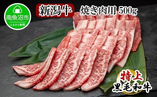 
ES64 新潟牛 南魚沼産 にいがた 黒毛和牛 焼き肉用 500ｇ 新潟県 南魚沼市
