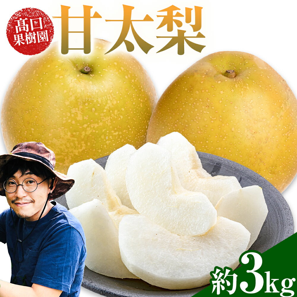 【ふるさと納税】【2026年先行予約】 梨 甘太梨 約 3kg 秋 旬 熊本県 荒尾市産 高口果樹園《2026年9月中旬-10月上旬頃出荷》フルーツ 果物 送料無料 和梨 なし お取り寄せ 梨3kg 産地直送
