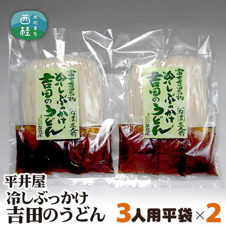 【ふるさと納税】 No.242 冷しぶっかけ吉田のうどん3人用平袋×2パック ／ セット 饂飩 麺 送料無料 山梨県 特産品