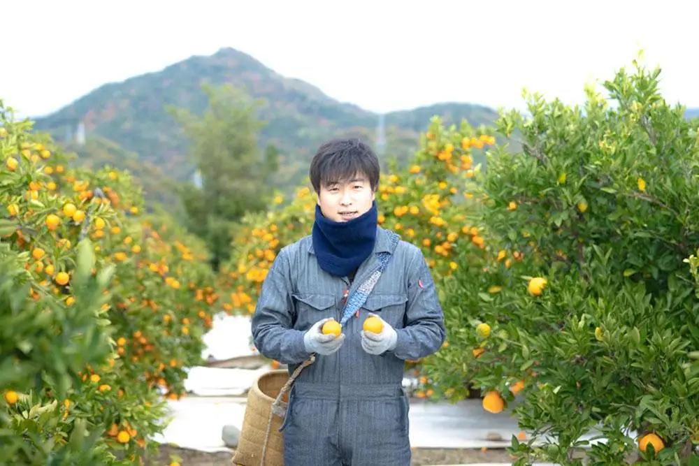 木成完熟 紅はっさく 特秀 大玉 2L × 7玉入 化粧箱 南泰園【2027年4月上旬～発送】