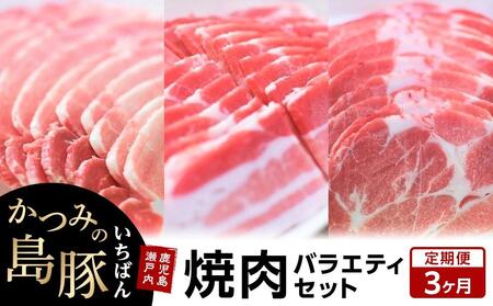 【定期便3か月】かつみの島豚いちばん焼肉バラエティセット 750g（250g×3パック）