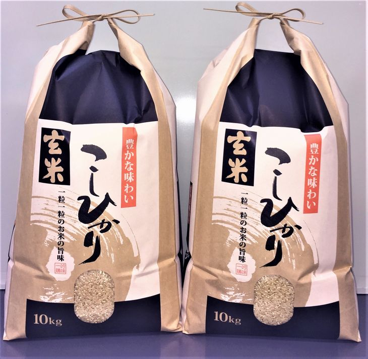 米 玄米 20kg/石川県能登産こしひかり　玄米20kg（10kg×2袋）/日本初！世界農業遺産認定「能登の里山里海」の恵み ※2024年1月中旬～2月下旬頃に順次発送予定
