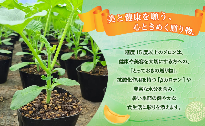 【令和8年産】メロン 富良野 高糖度 赤肉メロン 計4玉 （2玉×2箱） めろん 赤肉 果物 フルーツ 甘い 糖度 約1.8kg ～ 2.3kg うっちーfarm 北海道 メロン かみふらの フルーツ