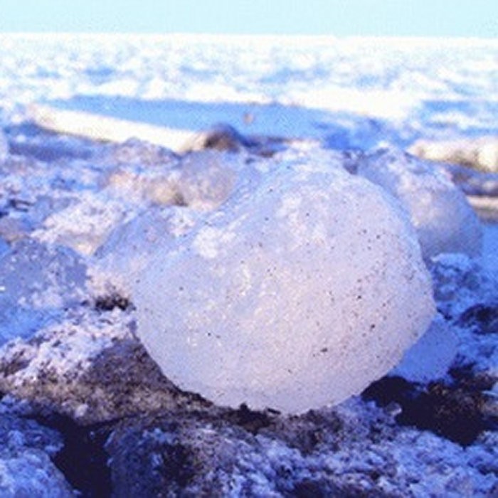 オホーツク海の流氷(5kg程度)