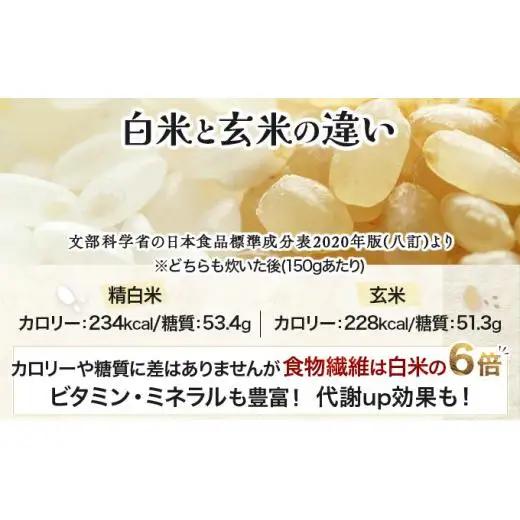《令和7年産！》『100%自家生産玄米』善生さんの自慢の米 玄米ななつぼし５kg※一括発送【06120】 