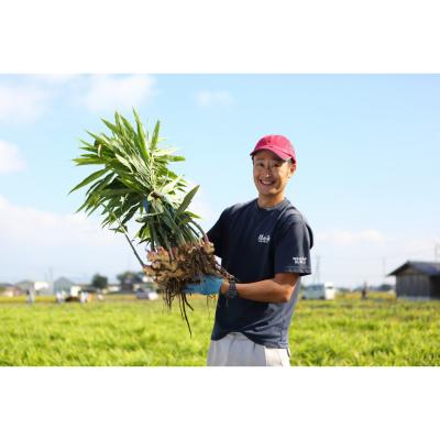 ふるさと納税 出雲市 出雲生姜シロップ3本セット |  | 03