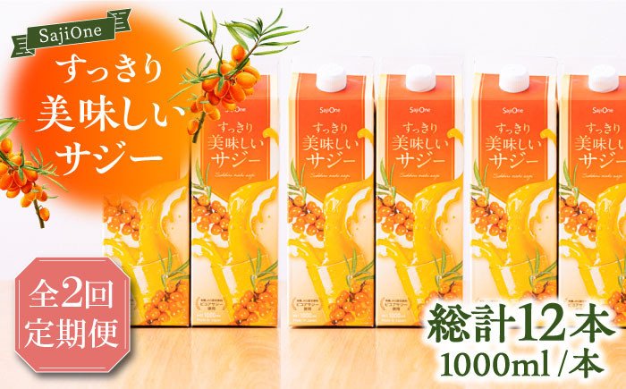 
                  【全2回定期便】家族みんなでおいしく飲める！ すっきり美味しい サジー 1000ml×6本《豊前市》【ハウスボトラーズ】[VAX047] サジージュース 飲料 ドリンク サジー 健康 美容 ビタミンC 鉄分 ジュース スーパーフルーツ さじー 紙パック 飲みやすい
                