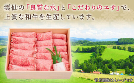 【受賞歴多数！】長崎和牛 肩ロース しゃぶしゃぶ・すき焼き用 約800g【株式会社 OGAWA】[QBI001] [QBI001]